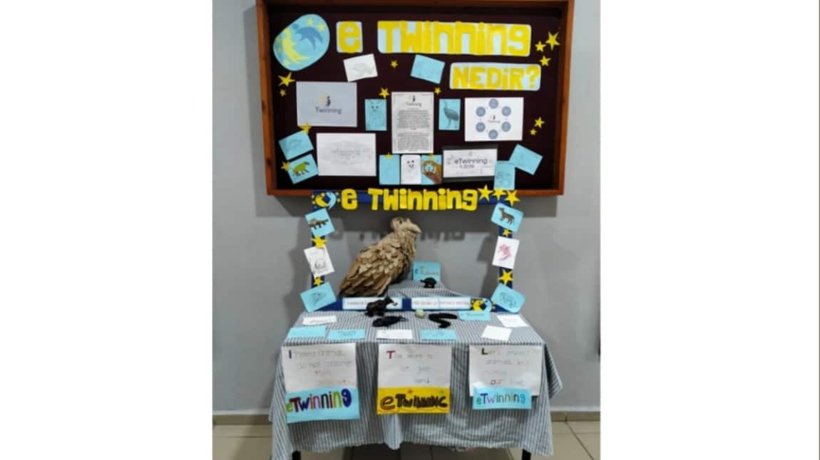 ETWINNING PROJEMİZ KAPSAMINDA SERGİ DÜZENLENDİ